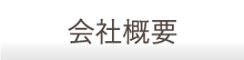 概要