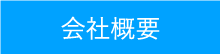 概要